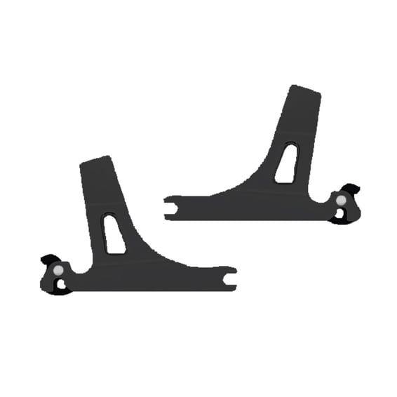 Detachable sissy bar side plates
