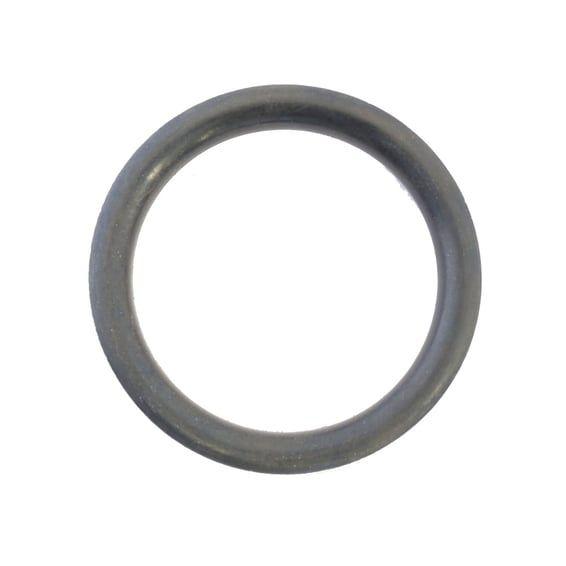 gas cap O-ring