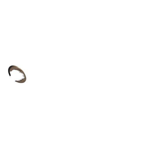 PS, 49mm fork spring pre-load adjuster kit