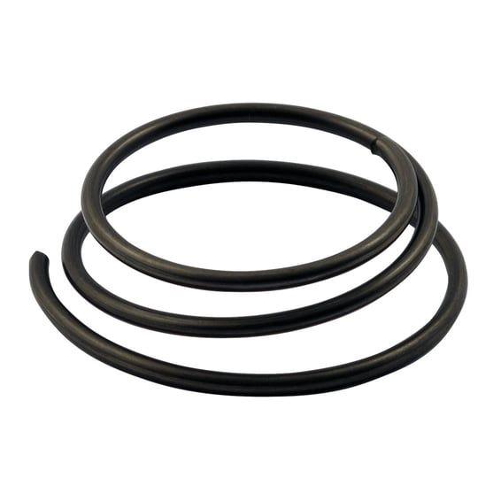 Kickstart starter clutch spring
