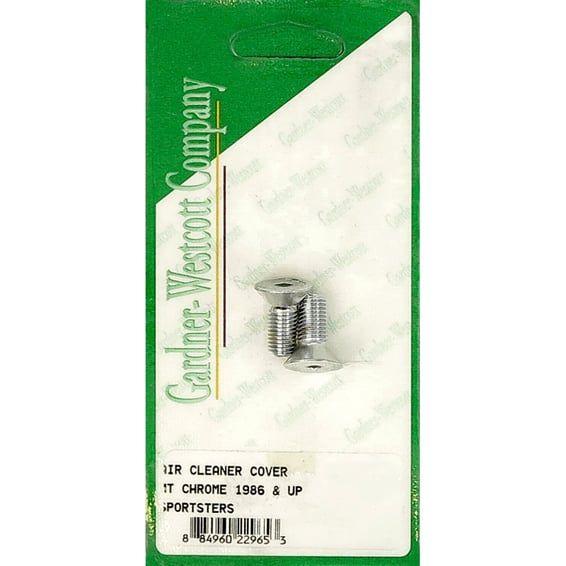 Air cleaner cover mount