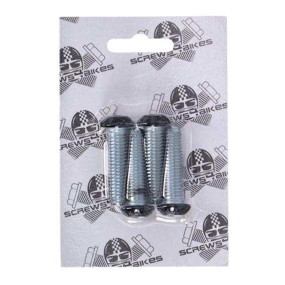 bolt kit, 4x front fork brackets SH