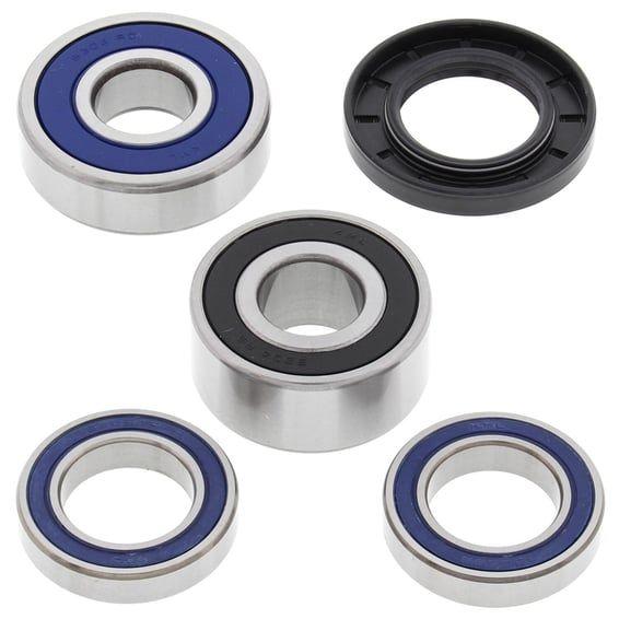 wheel bearing kit, rear