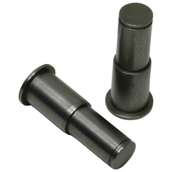 cam plate chain tensioner pins