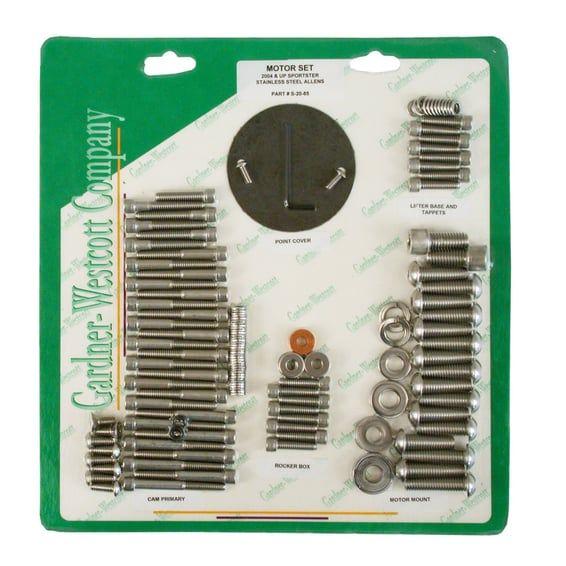 Motor screw set, ss allen