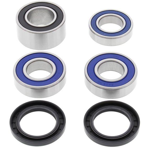 wheel bearing kit, rear