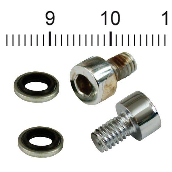 fork slider drain screws. Chrome Allen head