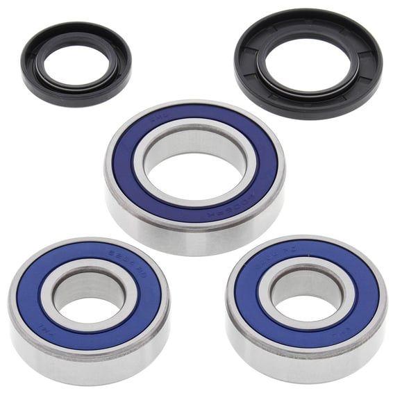 wheel bearing kit, rear