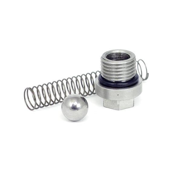 check valve repair kit