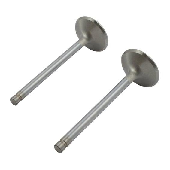 Severe Duty stainless valve, exhaust. STD