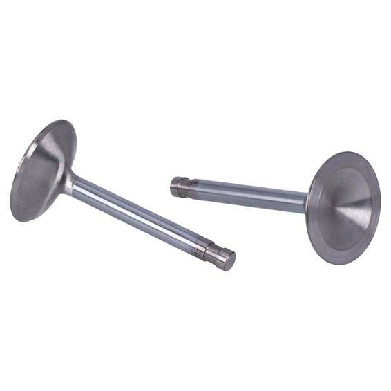 Severe Duty stainless valve, intake STD