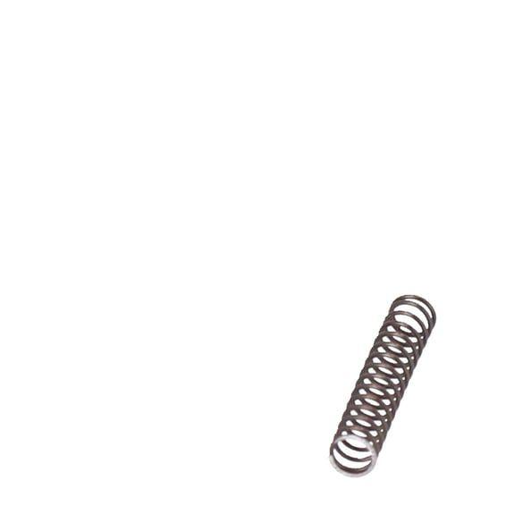 Spring, shifter pawl