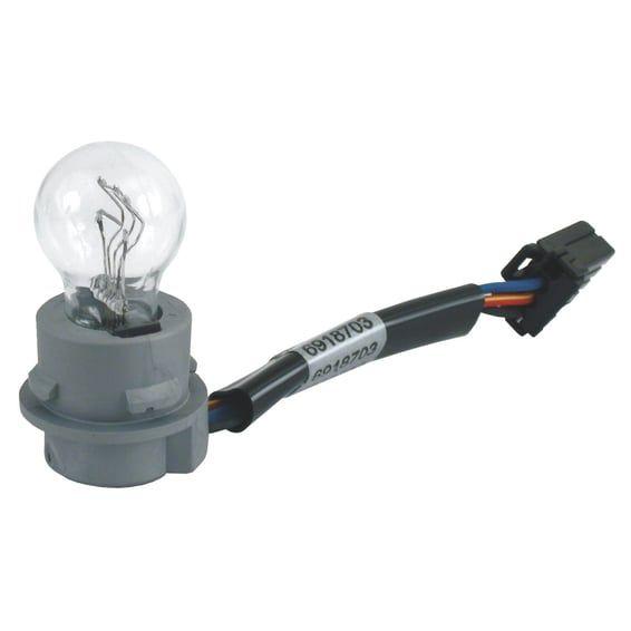 Socket assembly, with bulb, for center mounted taillight