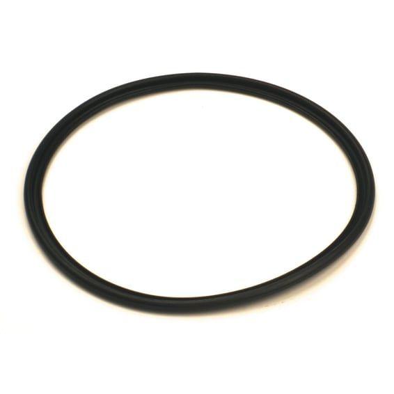 Rubber gasket, headlamp door