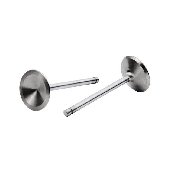 Severe Duty stainless valve, intake. STD