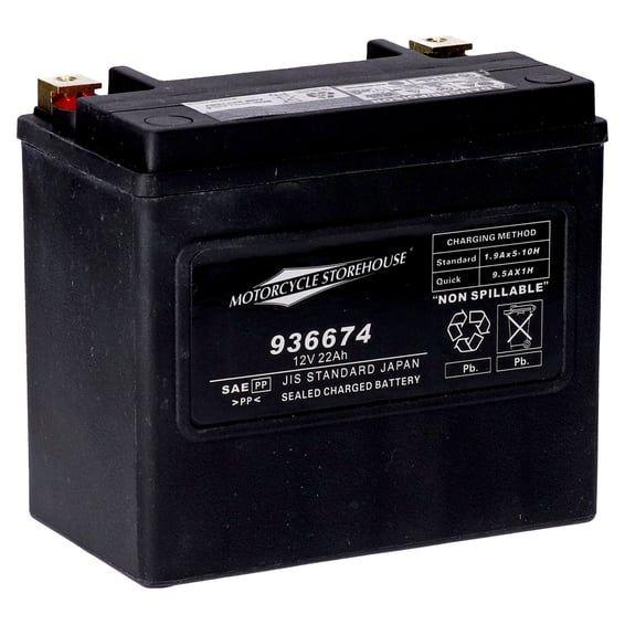 standard series - AGM sealed battery. 12v, 22ah. 325cca