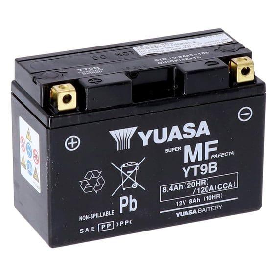 AGM battery, YT9B-WC