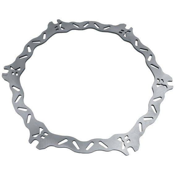 Buell Wave brake rotor. Front