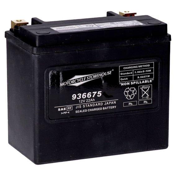 standard series - AGM sealed battery. 12v, 22ah. 325cca