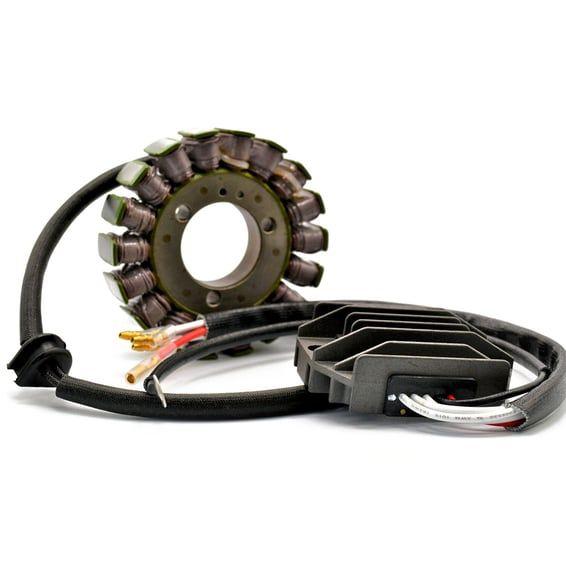 Rick's Hot Shot Lithium Ion compatible charging kit