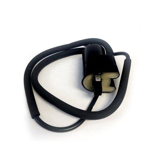 Rick's ignition coil