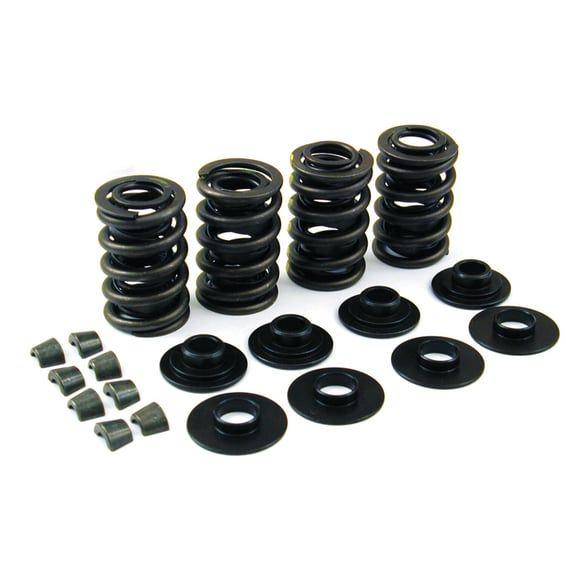 JIMS, valve spring kit. Chromoly .600" lift