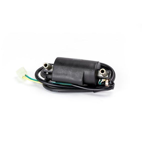 Rick's ignition coil