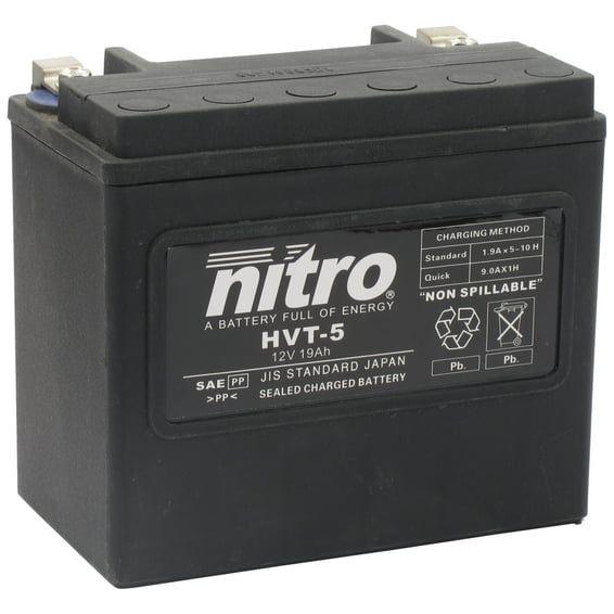 AGM HVT battery, 19Ah 12V