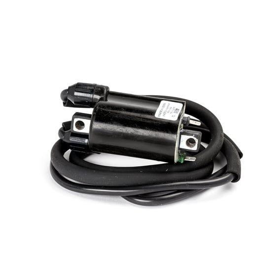 Rick's ignition coil
