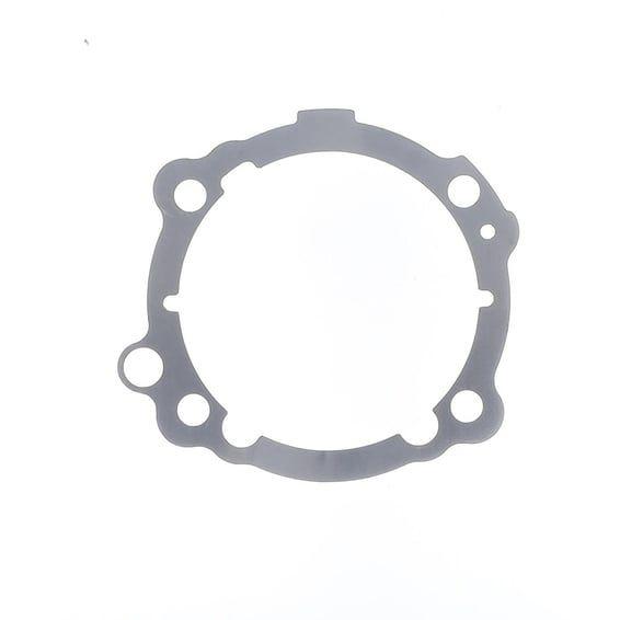 Cylinder base gasket