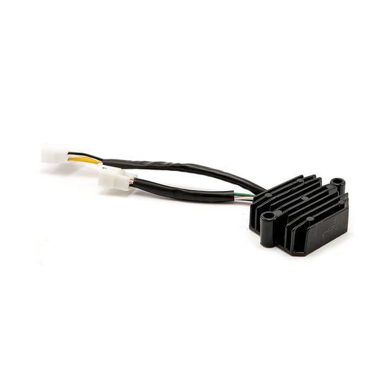 Rick's Lithium ion battery compatible rec-regulator