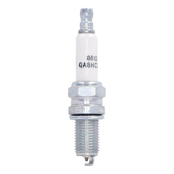 spark plug 8810