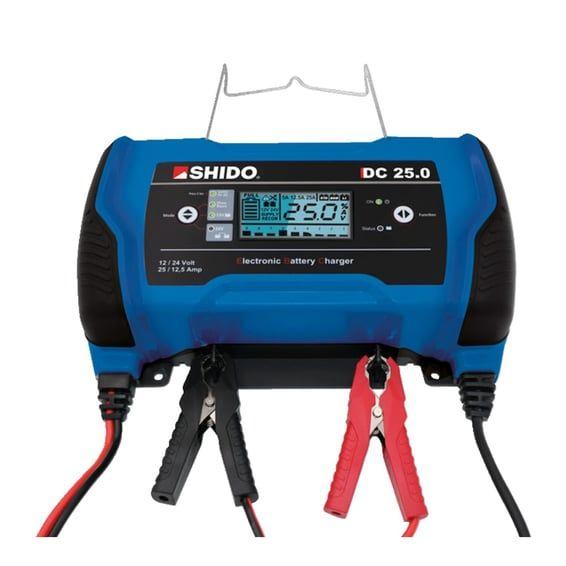 multi battery charger 12V/24V DC 25.0 (EU)