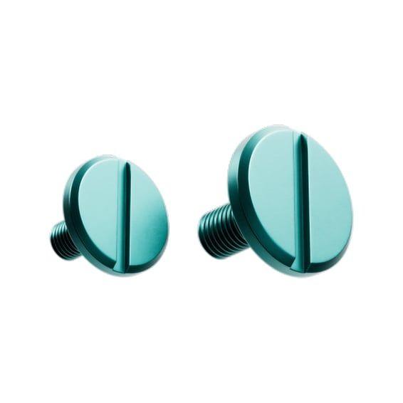 Screw Visor blue