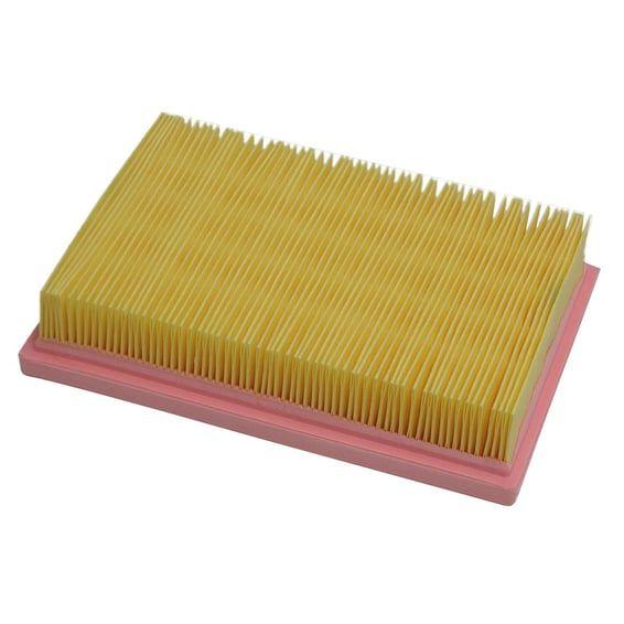 replacement air filter P5124