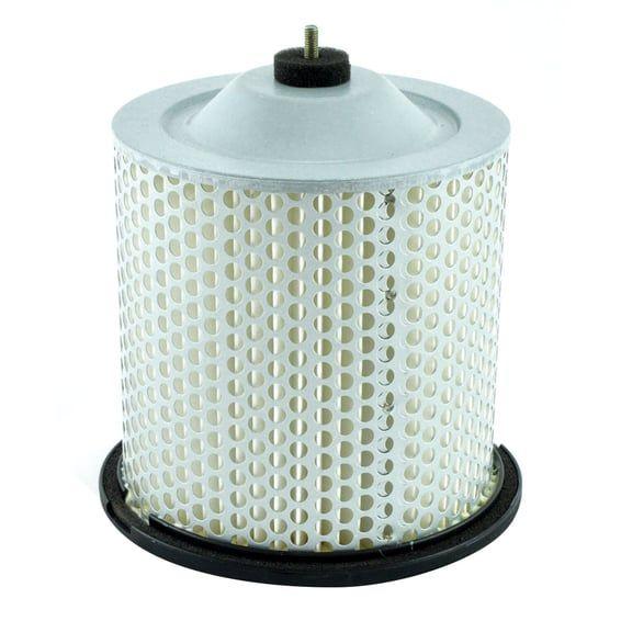 replacement air filter S3195