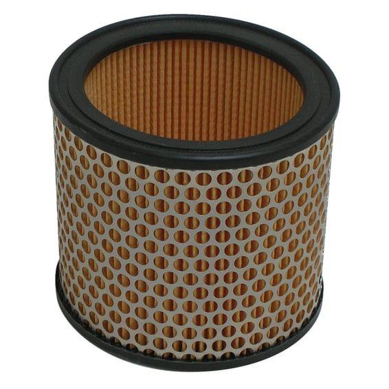 replacement air filter P5109