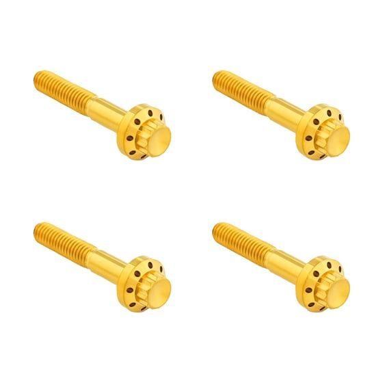 titanium 12-point front fender bolt kit. Gold