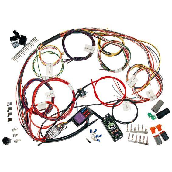 NAMZ, complete custom bike main wiring harness