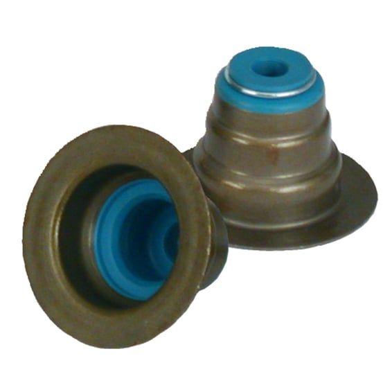 valve guide seals. Viton