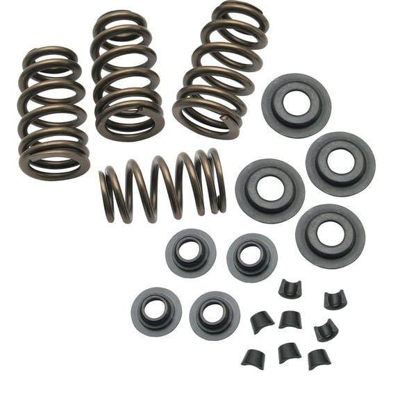 Street Performance valve spring kit. .650" valve lift