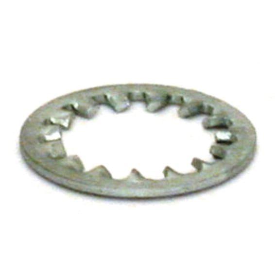 Lockwasher, swingarm bolt