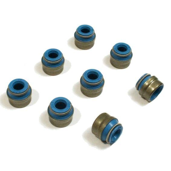 Viton valve seal kit. 6mm