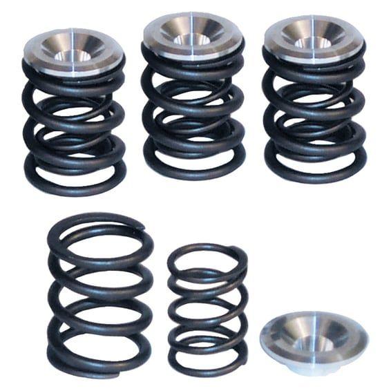 valve spring kit. STD to .550" lift