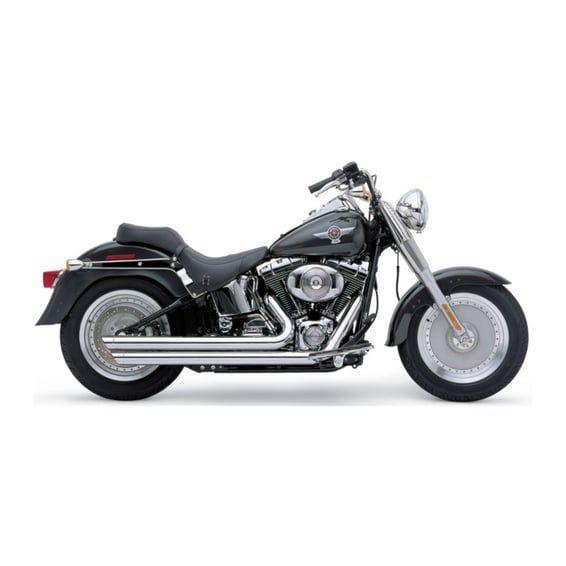 Speedster SlashDown exhaust. Chrome