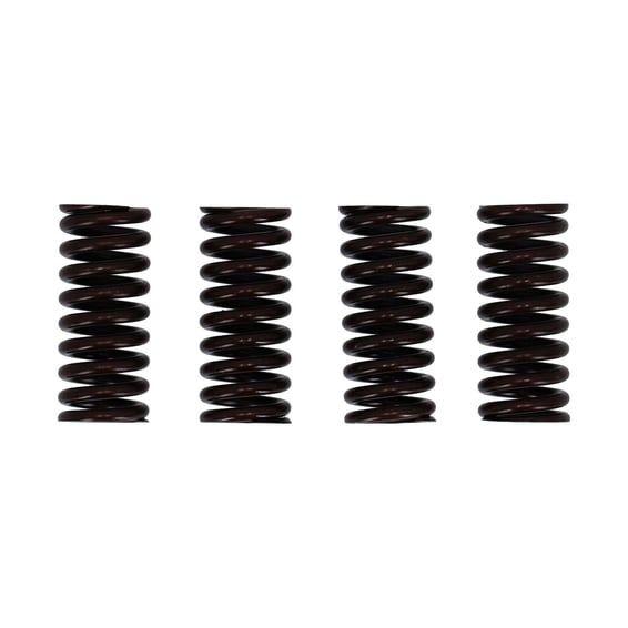 Valve spring set
