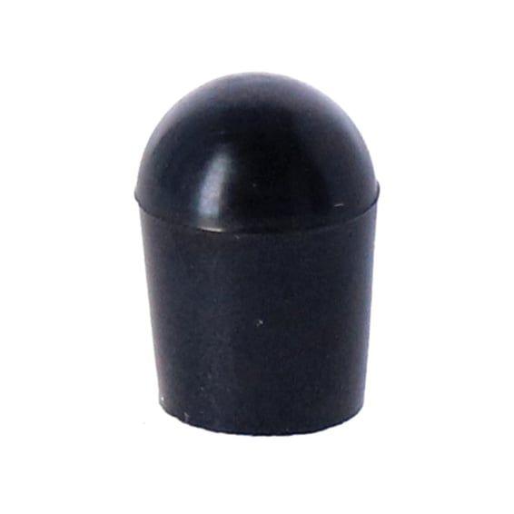 Cap plug, induction module / throttle body