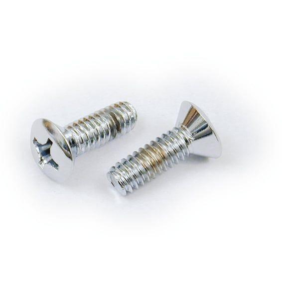 GW, inspection cover mount screws. Chrome
