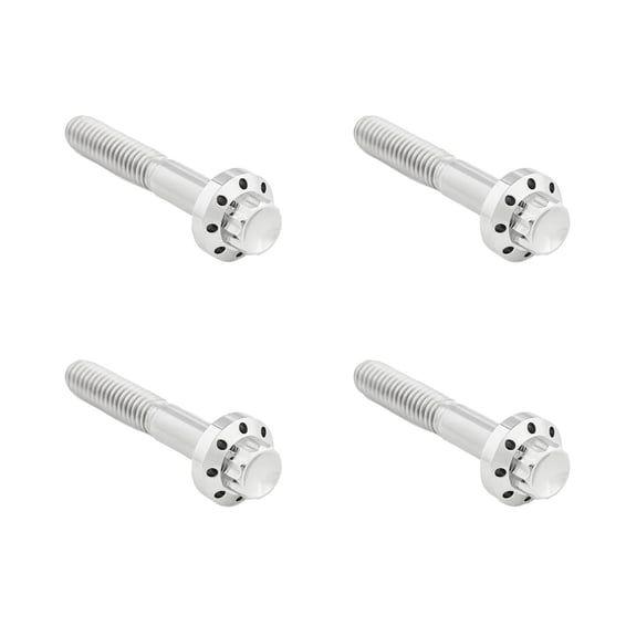 titanium 12-point front fender bolt kit. Polish