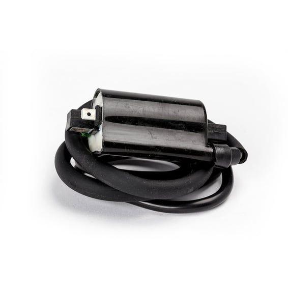 Rick's ignition coil